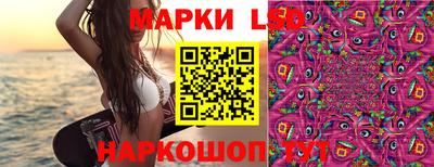 МДПВ Будённовск