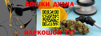 МДПВ Будённовск