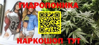 МДПВ Будённовск