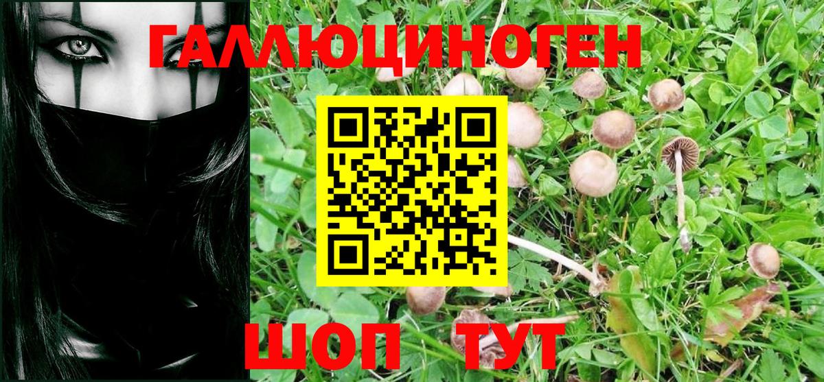 Псилоцибиновые грибы MAGIC MUSHROOMS  Вход с VPN  Черногорск 