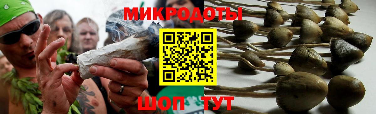 Галлюциногенные грибы мухоморы Черногорск